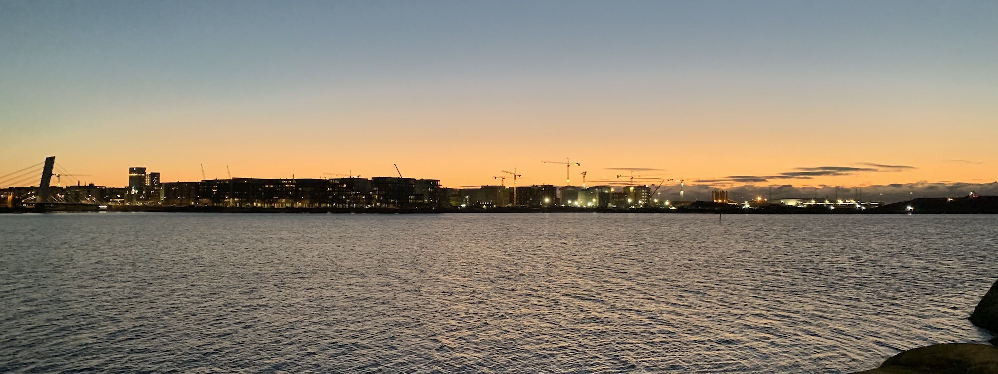 Banner landscape